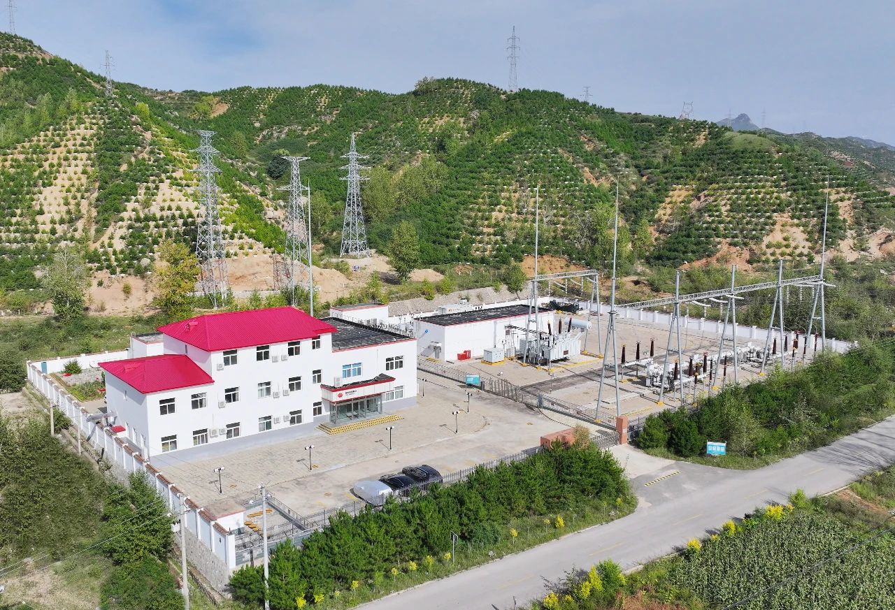 1704262971111164.jpg 03.jpg